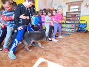 Bezpečný pes - kynologie